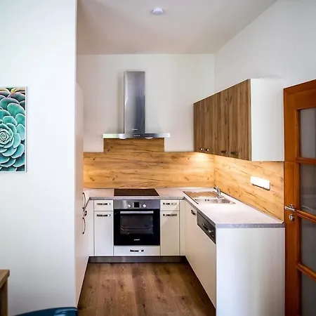 Nest Vibe Slovakova Apartment