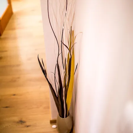 Nest Vibe Slovakova Brno